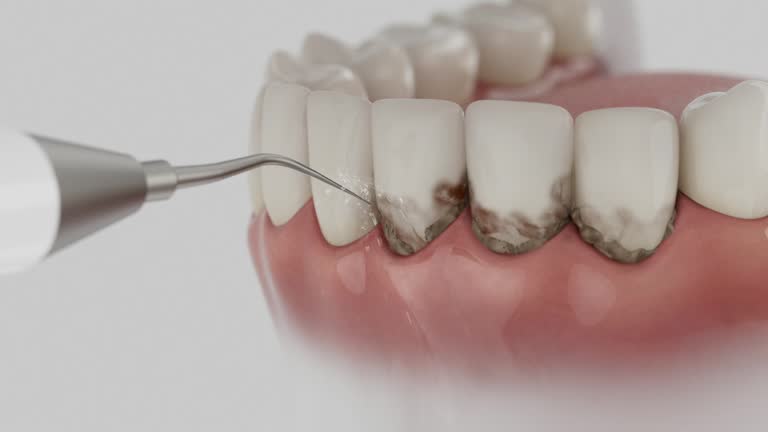 Reliable Dental contractor in Anderson Creek, NC by Dentist Open Now